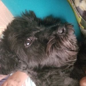 Meet your Posher, Felicia